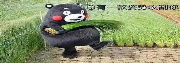 攀缠锋祖：市场里蠢死的韭菜，需要蠢死！ 难论原理 第1张
