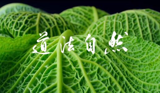 交易学习或操作当法自然之道 难论原理 第1张